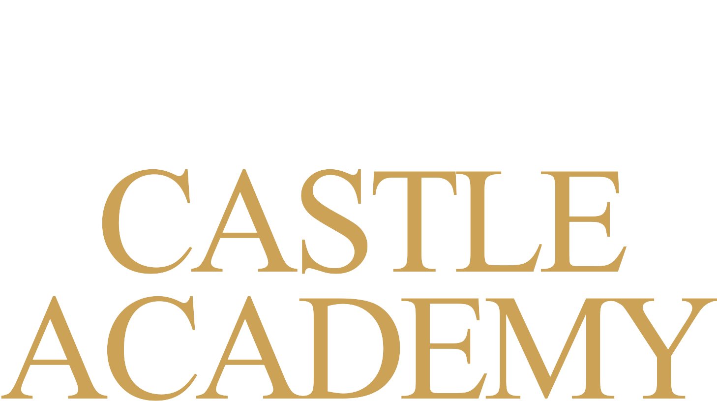 The Castle Academy
